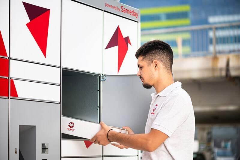 From Intuition to Insight